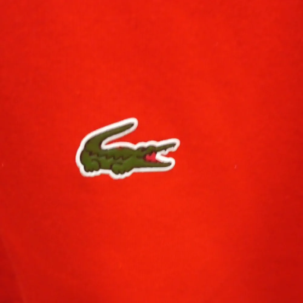 Lacoste Red Sweatshirt with Black Details